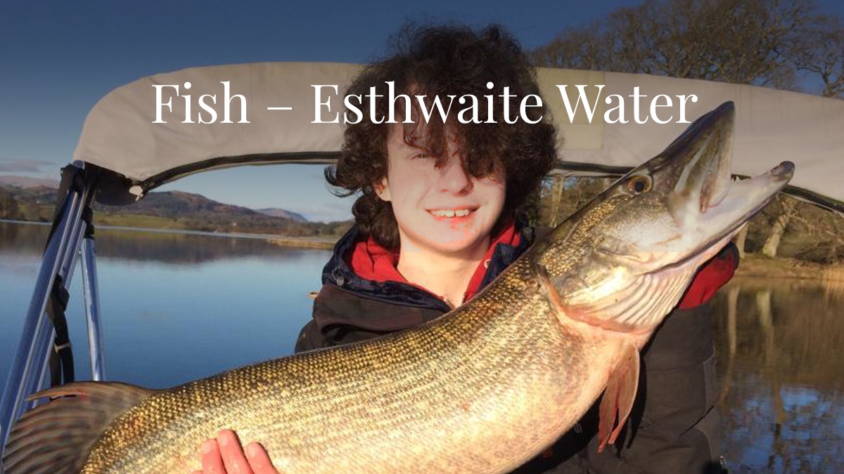 Esthwaite Water Fishing