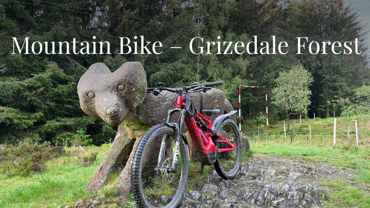 Mountain Biking around Grizedale Forest